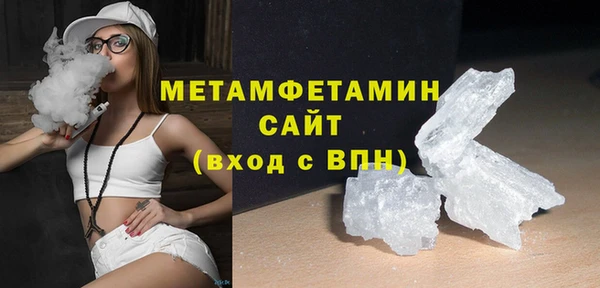 индика Михайловск