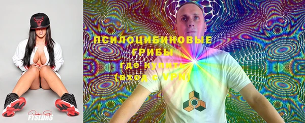 apvp Алзамай