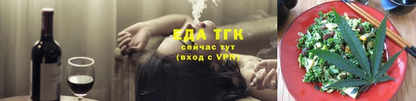 индика Михайловск