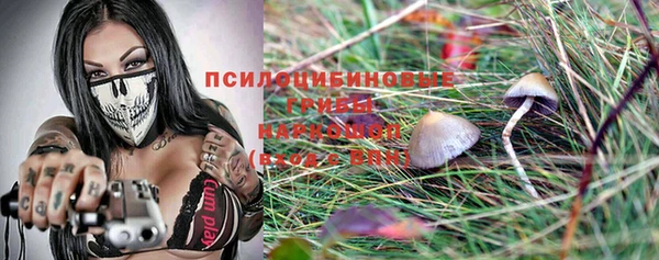 apvp Алексеевка
